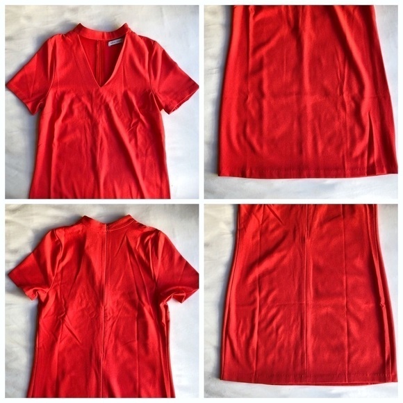 Bishop + Young Sasha Choker Shift Dress - Picture 6 of 8